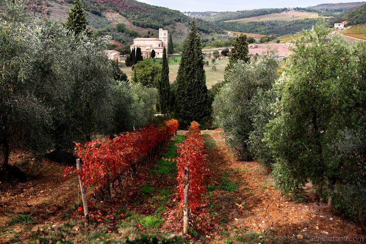 Val d'Orcia