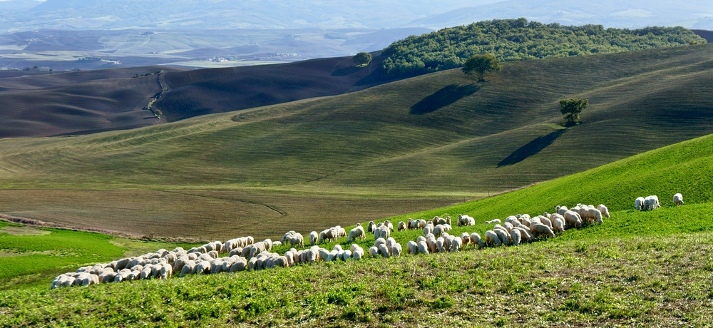 Val d'Orcia